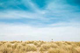 Serangkaian hijau rumput padang rumput langit biru landscape pemandangan definisi tinggi gambar. Hijau Padang Rumput Biru Langit Rumput Gundukan Pantai Bidang Tepi Laut Piqsels
