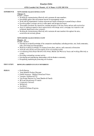 In cities where demand for property outweighs supply, a leasing consultant becomes a trusted resource for both lessee and property owner. New Home Sales Consultant Resume Samples Velvet Jobs