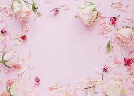 We hope you enjoy our rising collection of asian girls wallpaper. Hd Wallpaper Flowers Roses Frame Petals Colorful Pink Floral Wallpaper Flare