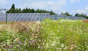While the main top solar contractors list ranks companies based on kilowatts (kw) installed in the previous year, the top. Community Solar Booms In Illinois Sparking Fears Of A Bust Greentech Media