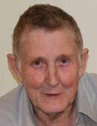 Obituary information for Mary Annie Fields