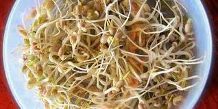 Entdecke rezepte, einrichtungsideen, stilinterpretationen und andere ideen zum ausprobieren. Cara Mudah Membuat Tauge Kacang Hijau Di Rumah Dimanz Hatta Di Pusakanagara Subang 23 Oct 2018 Berita Warga Atmago Warga Bantu Warga