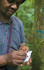 The Changing Face of Forestry