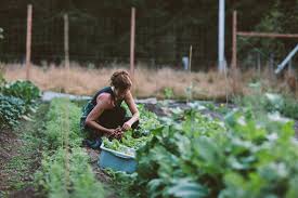 46 North Farm Vegetable Garden Planner Vegetable Garden Diy Farm Lifestyle