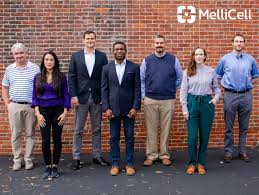 Maybe you would like to learn more about one of these? Hayley Carpenter Art Director Holliday Flowers Events Linkedin