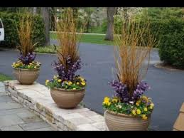 Check spelling or type a new query. Winter Flower Pots Flowers Ideas Youtube