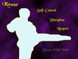 Self Control Discipline And Respect Are The Three Most Important Principles Of Karate Karate Quotes Karate Quotes