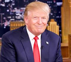 Image result for trump president elect