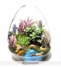 Terrarium Panosundaki Pin