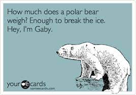 How much does a polar bear weigh? How Much Does A Polar Bear Weigh Enough To Break The Ice Hey I M Gaby Flirting Ecard