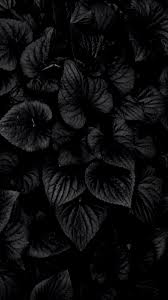 Maybe you would like to learn more about one of these? Black Wallpaper Kolpaper Awesome Free Hd Wallpapers