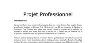 À mieux choisir leur voix en montrant l'exemple du. Exemple De Projet Professionnel Comment Rediger Un Projet Professionnel