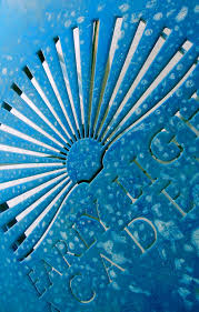 Table At Early Light Academy Feeling Blue Plant Leaves Photo