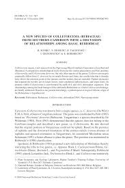 Image result for Colletoecema