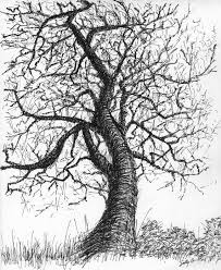 Beautiful Black And White Nature Drawing Black And White Nature Art Print From Pen Ink Sketch Roundstone Tree Signed 8x10 Wall Decor Art Nature Art Art Inspiration