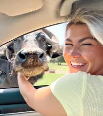 Rachel Small (@rachsmallz) • Instagram photos and videos