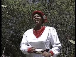 Ipcc Bayethe Ngonyama Youtube