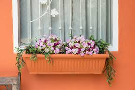 Light up flowers digital painting. 40 Window And Balcony Flower Box Ideas Photos Home Stratosphere