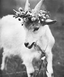 Vremea zalau, chat, horoscop zilnic SÄƒ MoarÄƒ È™i Capra Vecinului Bel Esprit