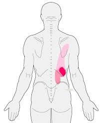 Pin On Health