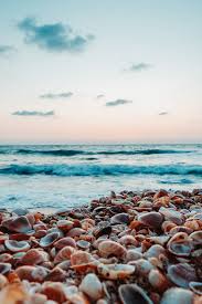 Pinterest beach wallpaper for laptop. Pinterest Beach Wallpapers Top Free Pinterest Beach Backgrounds Wallpaperaccess