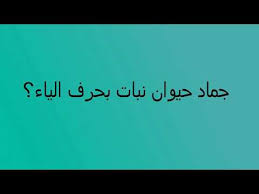 جماد بحرف الياء في غرفة النوم