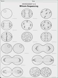 Paring Mitosis And Meiosis Worksheet Inspirational 20 Best Cell Cycle Mitosis Meiosis Pintere Color Worksheets Mitosis Cell Cycle