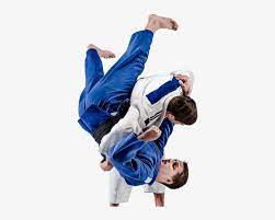 All png & cliparts images on nicepng are best quality. Adult Judo Judo Png Png Image Transparent Png Free Download On Seekpng