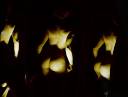 Rapporto Confidenziale - rivista digitale di cultura cinematografica -  numero30, dicgen 2011