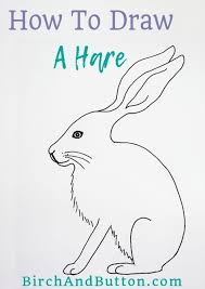 How To Draw A Hare Birch And Button Animal Drawings Drawings Hare Drawing