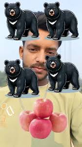 Chair Chair Apple Bear Speaking to Rythym