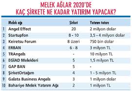 Meleklerin 2020 Planlari Ekonomist