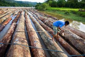 Dänisches bettenlager ist derzeit bereits mit über 80 fachmärkten in österreich und über 900 geschäften in deutschland präsent. Illegal Timber Trade In Germany And Austria Wwf Files Complaint With European Commission Wwf