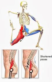 Heather Karr Google Back Exercises Psoas Muscle Fitness