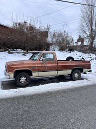 Image result for Alpaca Brown 1981 Motor Home