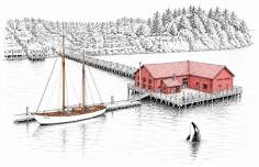 Orca Network’s 25th Anniversary