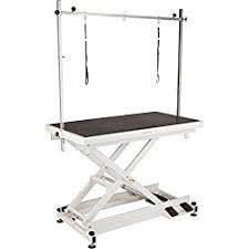 Flying Pig Heavy Duty Electric Lift X Style Pet Grooming Table Review Buyer S Guide Pet Grooming Flying Pig Grooming