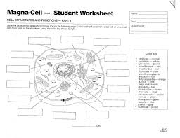 Shannan muskopf march 8, 2019. Cell Membrane Color Worksheet Printable Worksheets And Activities For Teachers Parents Tutors And Homeschool Families