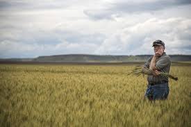 Montana farmers are using data to improve in face of climate change