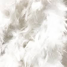 Проверьте 'federn' перевод на английский. Federboa Weiss Aus Echten Federn Xxl Lang 184 Cm Flourou Luxury Interior Design Art