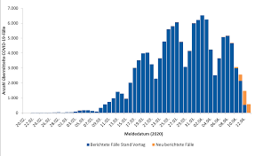 Ein überblick in zahlen und grafiken. Https Www Rki De De Content Infaz N Neuartiges Coronavirus Situationsberichte 2020 04 14 De Pdf Blob Publicationfile
