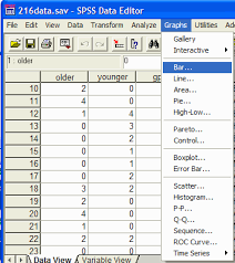 Spss Graphs