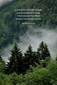 Sometimes all it takes to turn your day around is an encouraging word. Nature Quotes For The Wandering Soul Nature Quotes Trees Nature Lover Quotes Nature Quotes Inspirational