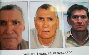 We did not find results for: Narcos Mexico Real Life Story People Who Inspired Narcos Mexico