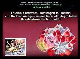 Image result for Protein C Deficiency