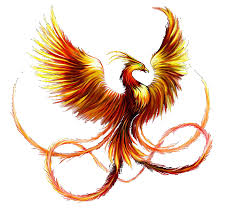 Resultado de imagen para ave fenix