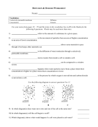 34 diffusion and osmosis worksheet answer key. Diffusion Osmosis Worksheet 4
