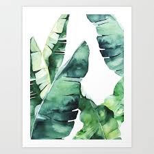 Buy Tropical Banana Leaves Art Print By Amypetersonartstudio Worldwide Shipping Available At Society6 Com Just One Of M Banana Leaf Art Leaf Art Leaf Artwork