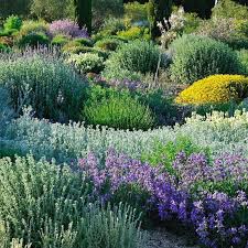 Early Bird Tickets For The Sgd Spring Conference Close On Monday Book Now And Join Us On 27th April To Hear Speakers From Garden Images Garden Borders Garden
