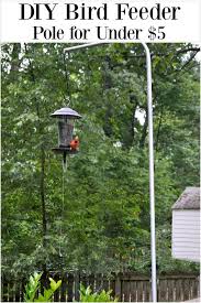 Bird Feeder Pole For Deck Railing Diy Bird Feeder Pole For Under 5 Chatfield Court Bird Feeder Poles Diy Bird Feeder Bird Feeders